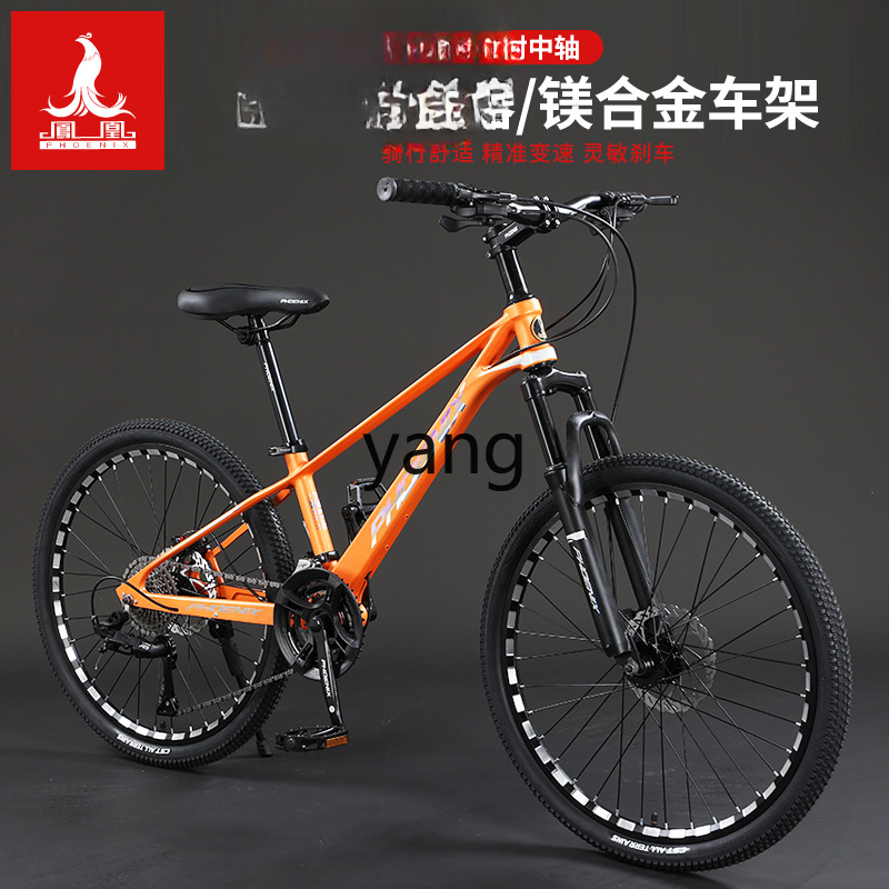 Gara per studenti giovani per  - Mountain Biking Youth recensione e prezzo