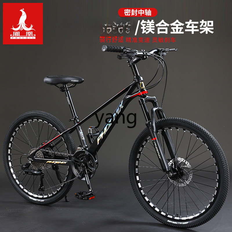 Gara per studenti giovani per  - Mountain Biking Youth recensione e prezzo