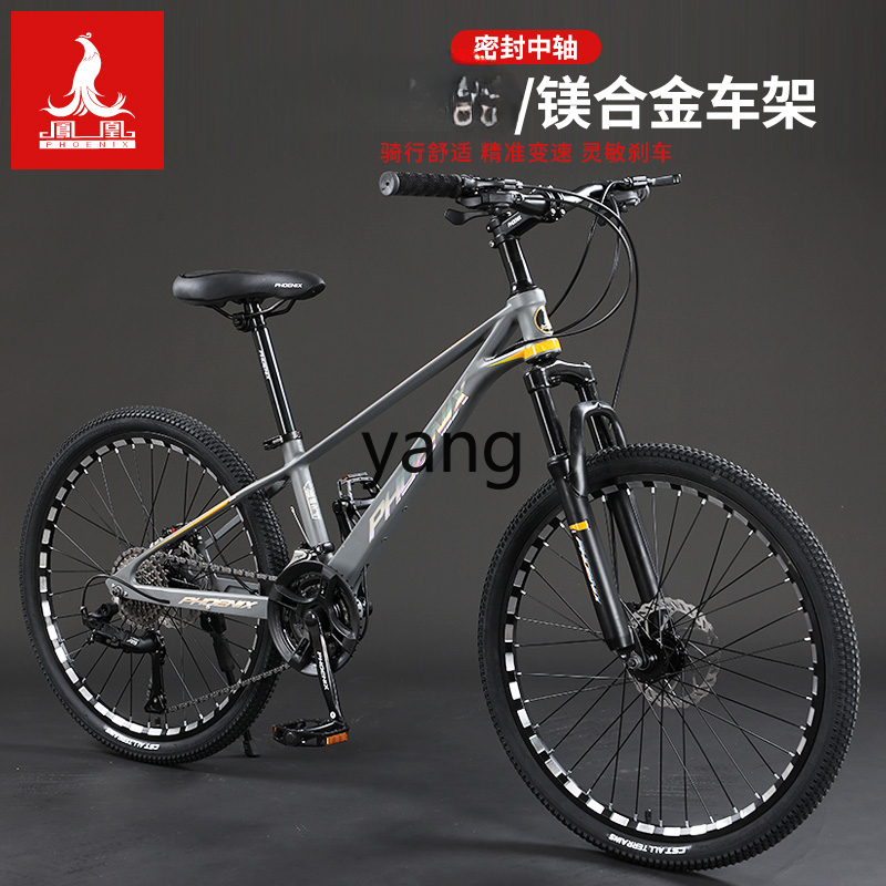Gara per studenti giovani per  - Mountain Biking Youth recensione e prezzo