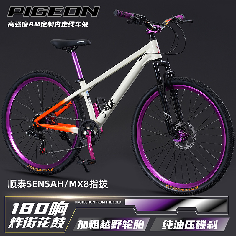 Mountain bike per giovani e ad - Mountain Biking Youth recensione e prezzo