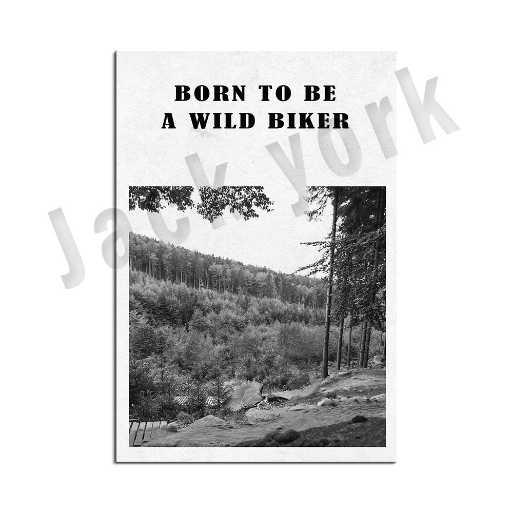 arte per mountain bike, poster - Mountain Biking York recensione e prezzo